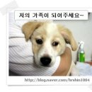 해피동물병원 이미지