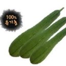 여주-0075 네이버블로그