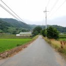경북 예천군 호두나무가 식재 된 1,030평 토지 이미지
