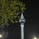 여자만마을 | 호주&amp;뉴질랜드 16박 17일 여행 - 오클랜드 上 (크라이스트처치, 마운트이든, 데본포트, 마운트빅토리아 )