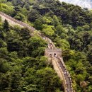 젠시오 장성호점 이미지