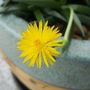 정일품고시원
