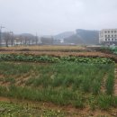 반포주공1단지재건축아파트시세(제633호)
