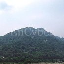 당림유원지 Daum카페