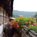 카페지유 이미지