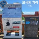 바닷길 풍경 | 제주 서건도 바닷길 체험기, 물때 맞춰 걸어서 다녀온 솔직 후기