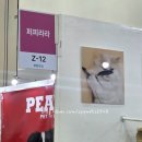 퍼피펫 | 부산 펫 쇼, 반려묘 '퍼피라라 낚싯대 장난감' 솔직 후기