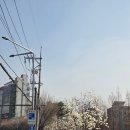 집을 카페처럼 구움과자 홈베이킹(주간)(1월) | 공덕역 맛집 디저트 플러피 베이크샵, 고급 버터 풍미 가득한 구움과자 포장해서 집에서 즐긴 후기