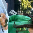 하대동140 이미지