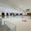 가치있개 이미지