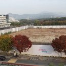개정청과