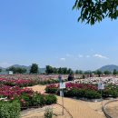 강나루생태공원 이미지