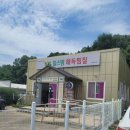 힐스템구미