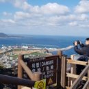 복순이네 이미지