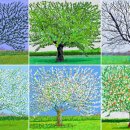 David Hockney 이미지