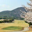 백로사우나 이미지