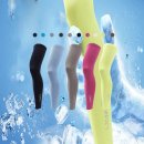 에스코다리 이미지