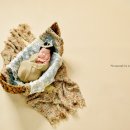띵동스튜디오