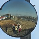 나영목장 이미지