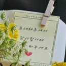탐마루 | (광주전남권) 부모님 첫 인사 선물 금액대별 추천 [내돈내산] ㅣ 장흥 한우 추천 / 비추천 광주 꽃집