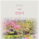 순천 힐링여행 코스 추천 선암사