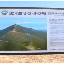 금영주유소 이미지