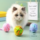 동그라미펫 이미지