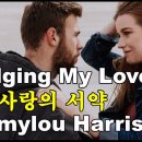 Pledging my love(사랑의 서약) - Emmylou Harris 이미지