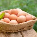 유정동물약품 이미지