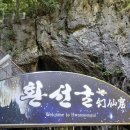 번개목장 | 삼척 환선굴에 양떼목장, 창경궁까지 — 혼자여행이 막힐 때 국내 1박2일 동행을 찾는 법