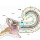 포낙보청기 이미지