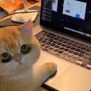 마타수학학원 | 9. 한번쯤은 뒤돌아보는것도