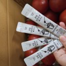 대성농장4 이미지