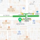 돌출입 교정 치료 - 대구 치아 교정 치과