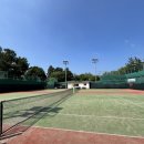 을숙도 테니스장 이미지