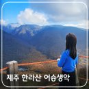 제주 어승생악 일제동굴진지 | 제주 한라산 어승생악 오름 탐방로 소요시간 주차장 버스(240번)로 가는 법