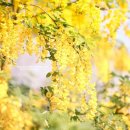 포스코더샾 이미지