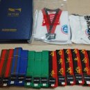 용인대 한신 태권도 이미지