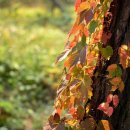 시민로 77번길 이미지