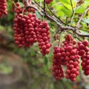 민기농장 이미지