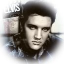 [올드팝] Can't Help Falling In Love - Elvis Presley 이미지