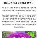 ＜특급물건＞ 송산그린시티가 있는 화성! '낭만닥터김사부', '푸른바다의 전설' 촬영지 포천! 이미지