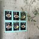 두산목장 | 대구 수성못 브런치 카페 사이커피 베이커리 맛집 주차 후기