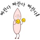 쁘띠포레유치원 이미지