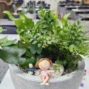 동진중학교 이미지