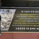 농협9번중매인