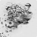 자체관리 이미지