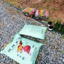 한솔뜰근린공원 이미지