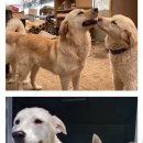 머리쉼터 이미지