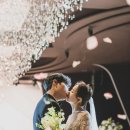 유스튜디오 이미지